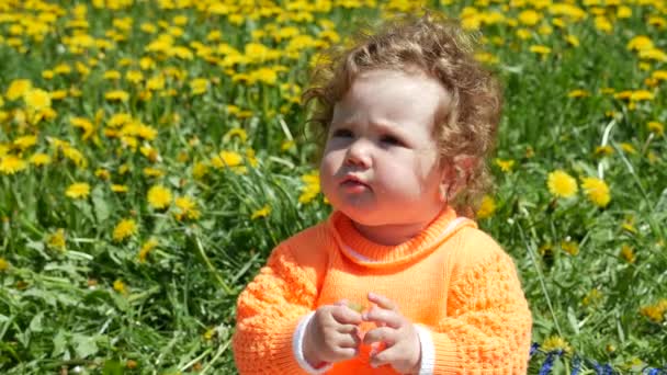 Criança feliz em uma clareira de primavera em dentes de leão com a sua família . — Vídeo de Stock