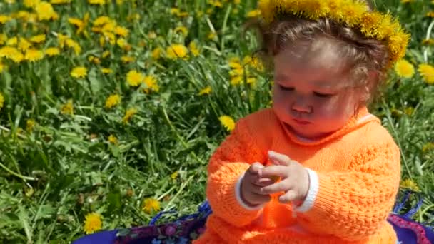 Счастливый ребенок на весенней поляне в одуванчиках со своей семьей . — стоковое видео