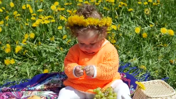 Bambino felice in una radura di primavera in denti di leone con la sua famiglia . — Video Stock