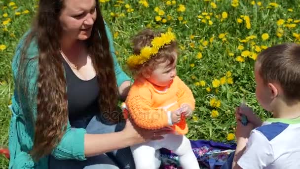 Criança feliz em uma clareira de primavera em dentes de leão com a sua família . — Vídeo de Stock