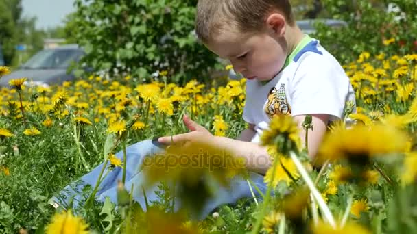 彼の家族とタンポポで春の空き地で幸せな子。黄色の花と緑の空き地に携帯電話を持った少年が座っています。. — ストック動画