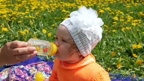 Dandelions ailesiyle birlikte bir bahar glade içinde mutlu bir çocuk. Boynuz annelerin elinde bir bebek meme üzerinden beslenir. — Stok video