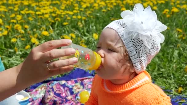 Niño feliz en un claro de primavera en dientes de león con su familia. Cuerno en la mano de las madres es alimentado por un bebé del pezón . — Vídeo de stock