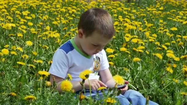 Glückliches Kind auf einer Frühlingslichtung in Löwenzahn mit seiner Familie. ein kleiner Junge mit einem Handy sitzt auf einer grünen Lichtung mit gelben Blumen. — Stockvideo
