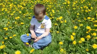 Dandelions ailesiyle birlikte bir bahar glade içinde mutlu bir çocuk. Yeşil glade Sarı çiçekli bir telefon ile küçük bir çocuk oturur.
