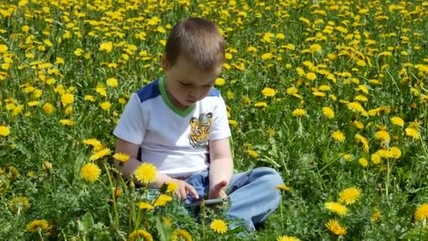 Niño feliz en un claro de primavera en dientes de león con su familia. Un niño pequeño con un teléfono se sienta en un claro verde con flores amarillas . — Vídeos de Stock