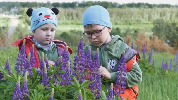 Gyermekek a tavaszi zöld mezőn gyertyafényes lila színben. — Stock videók