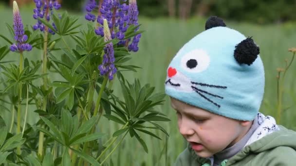 Kinder im Frühling auf einer grünen Wiese im lila Kerzenschein. — Stockvideo