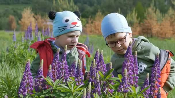 Los niños en la primavera en un campo verde en colores púrpura vela . — Vídeos de Stock