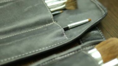 Bir dizi fırçalar makyaj bir çanta için Organizatör.