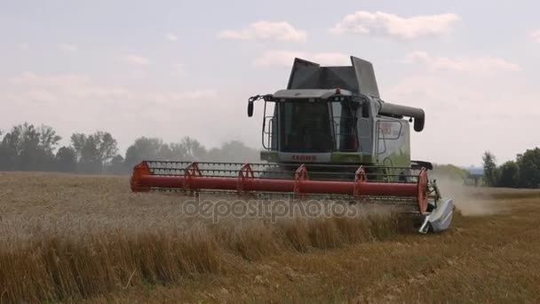 Orlovo Gnezdo, Orlovskaya oblast, Rússia, 05.08.2017, Editorial: Colheita de grãos. Léxico das garras da ceifeira " — Vídeo de Stock