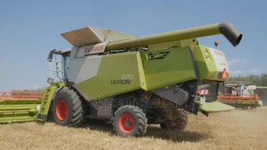 Orlovo Gnezdo, Orlovskaya oblast, Rusya Federasyonu, 05.08.2017, Editör: Tahıl hasat. Hasat 