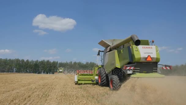 Orlovo gnezdo, Oblast orlovskaya, Russland, 05.08.2017, Leitartikel: Getreideernte. Klaas-Jan Huntelaar" — Stockvideo