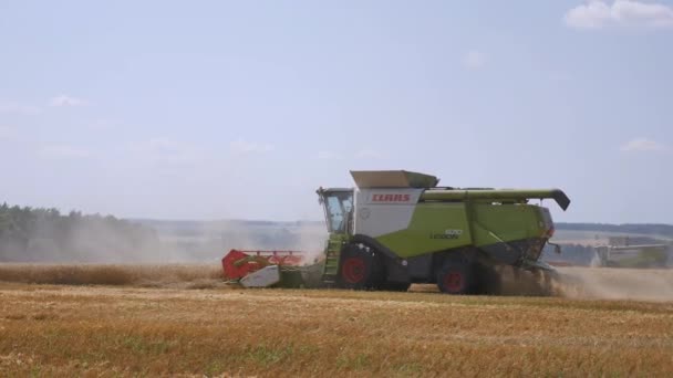 Orlovo Gnezdo, Orlovskaja oblast, Rusland, 05.08.2017, Editorial: oogsten van graan. Harvester "claas lexion" — Stockvideo