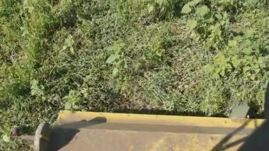 Bezelye Temizleme, bezelye hasadı birleştirmek