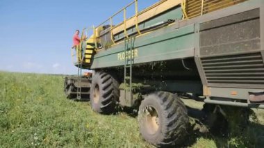 Mtsensk, Orlovskaya oblast, Rusya Federasyonu, 06.08.2017, Editör: bezelye Temizleme