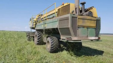 Mtsensk, Orlovskaya oblast, Rusya Federasyonu, 06.08.2017, Editör: bezelye Temizleme