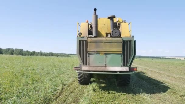 Cleaning of peas, combine harvesting peas — Stock Video