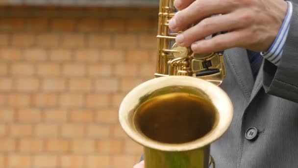 A saxophonist plays the saxophone — Stock Video