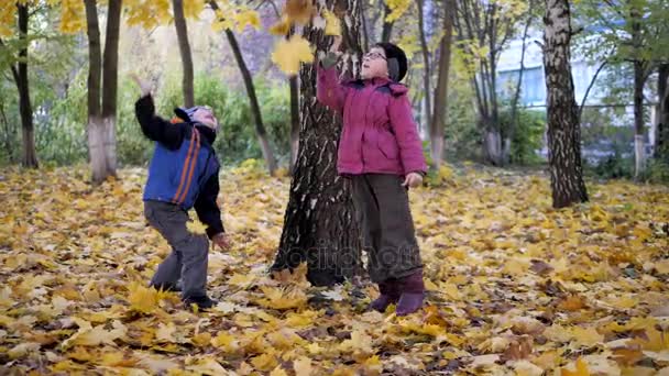 La época del año, Otoño. Niños jugando en la naturaleza — Vídeo de stock