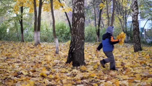 Η εποχή του χρόνου, το φθινόπωρο. Παιδιά που παίζουν στη φύση — Αρχείο Βίντεο
