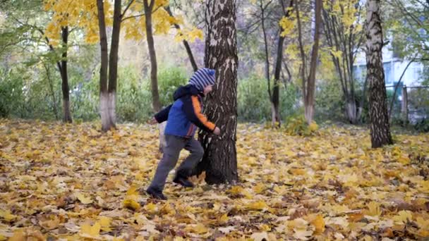 Tid på året, hösten. Lekande barn i naturen — Stockvideo