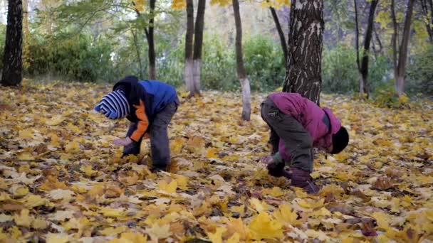 La época del año, Otoño. Niños jugando en la naturaleza — Vídeo de stock