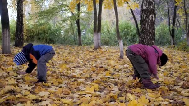 A época do ano, Outono. Crianças brincando na natureza — Vídeo de Stock