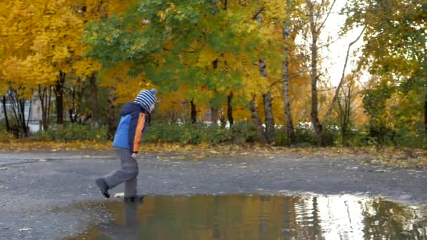 Tid på året, hösten. Lekande barn i naturen — Stockvideo