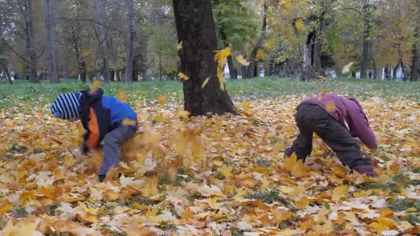 La época del año, Otoño. Niños jugando en la naturaleza — Vídeo de stock