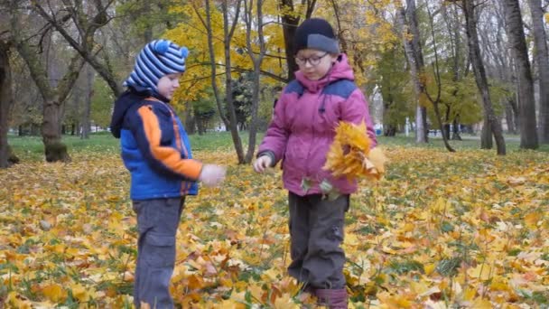 La época del año, Otoño. Niños jugando en la naturaleza — Vídeo de stock