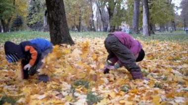 Yılın sonbahar zamanı. Çocuklar doğal olarak oyun