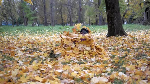 Év őszi idő. Gyermekek játszanak a természetben — Stock videók