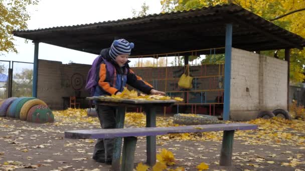 Die Zeit des Jahres, Herbst. Kinder spielen in der Natur — Stockvideo