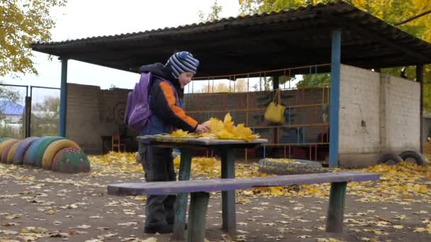 Årets tid, høst. Barn som leker i naturen – stockvideo