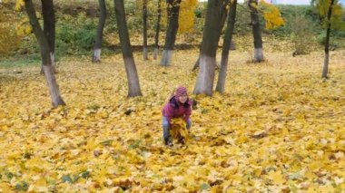 Yılın sonbahar zamanı. Çocuklar doğal olarak oyun