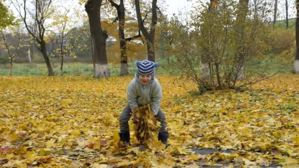 Die Zeit des Jahres, Herbst. Kinder spielen in der Natur — Stockvideo