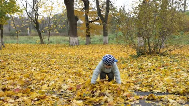 La période de l'année, l'automne. Enfants jouant dans la nature 