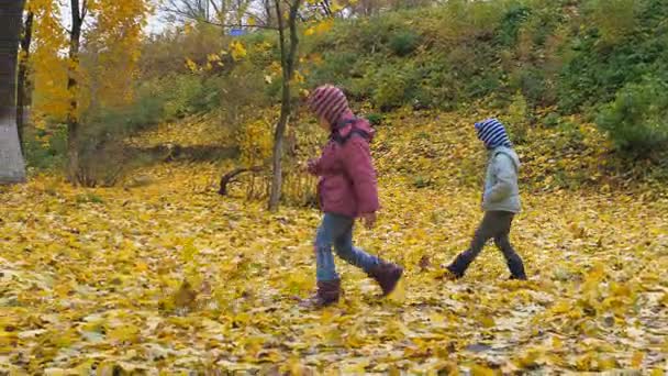 Tid på året, hösten. Lekande barn i naturen — Stockvideo