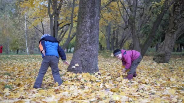 La época del año, Otoño. Niños jugando en la naturaleza — Vídeo de stock