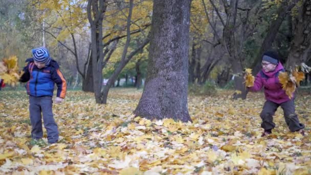 今年、秋の時間。自然の中で遊んでいる子供たち — ストック動画