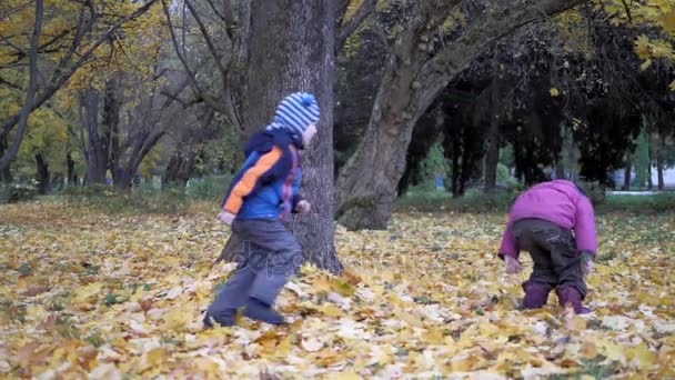 La época del año, Otoño. Niños jugando en la naturaleza — Vídeo de stock