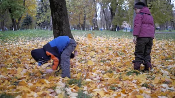 De tijd van het jaar, herfst. Kinderen spelen in de natuur — Stockvideo