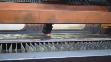 Bitki. Mühendislik üretim.