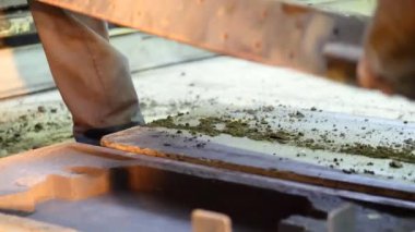 Bitki. Mühendislik üretim.