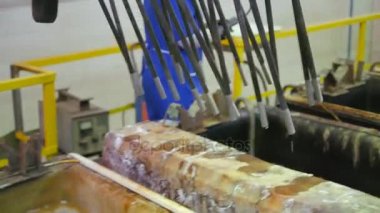 Bitki. Mühendislik üretim.