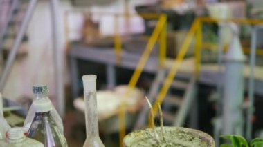 Bitki. Mühendislik üretim.