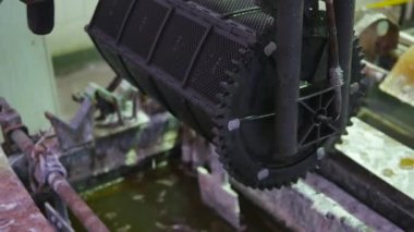 Bitki. Mühendislik üretim.