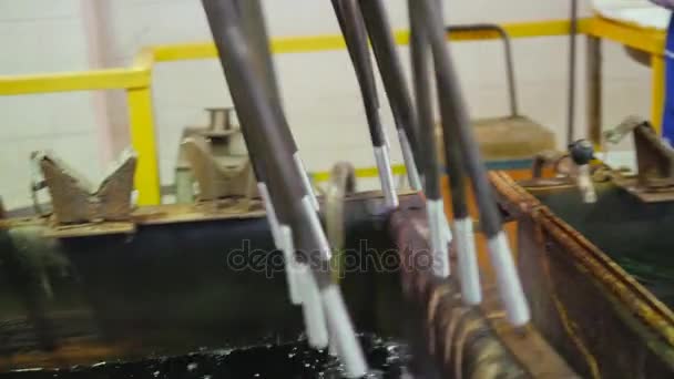 Plant. Engineering production. — Stock Video