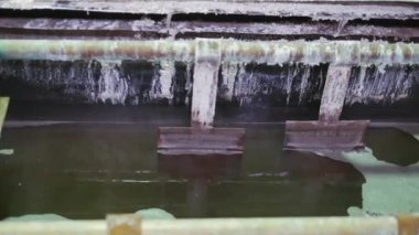 Bitki. Mühendislik üretim.